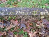 image of grave number 291643